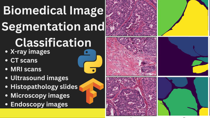 Gig Preview - Do biomedical image analysis using ai