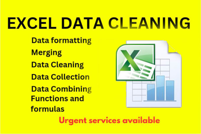 Gig Preview - Do excel data cleaning and excel formatting