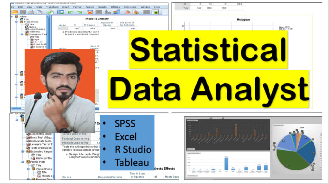 Gig Preview - Do advance statistical data analysis using spss, r studio and excel