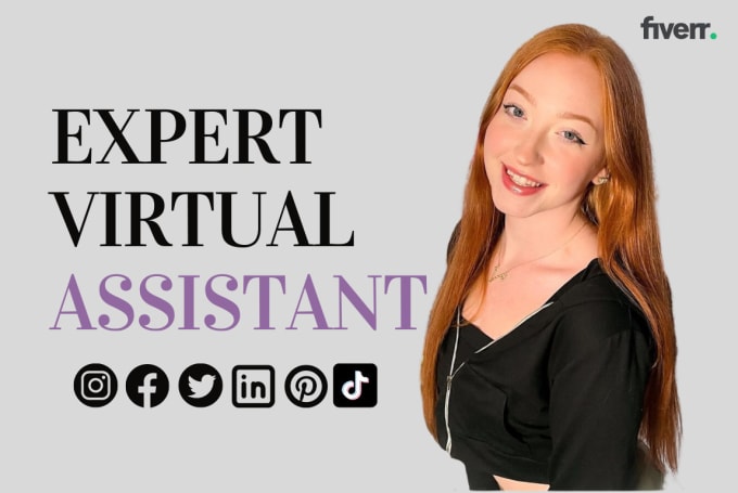 Gig Preview - Be your personal virtual assistant and social media manager