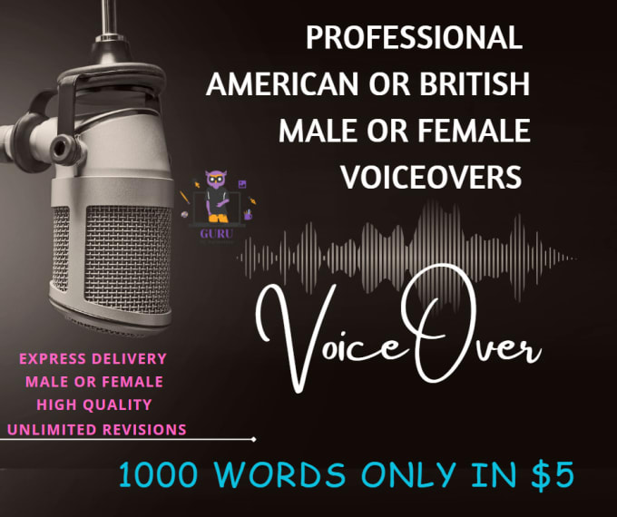 Gig Preview - Record 1000 words american english voice over