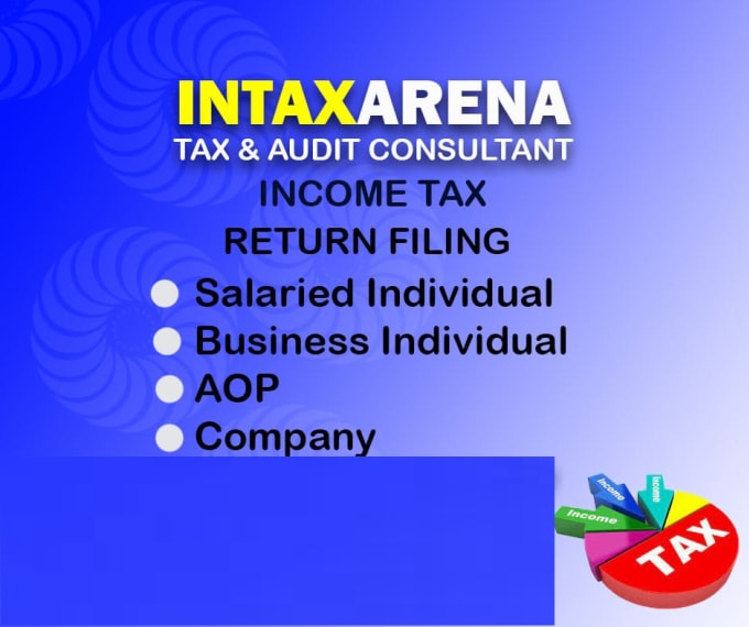 Gig Preview - Do income tax return filing for individuals and businesses