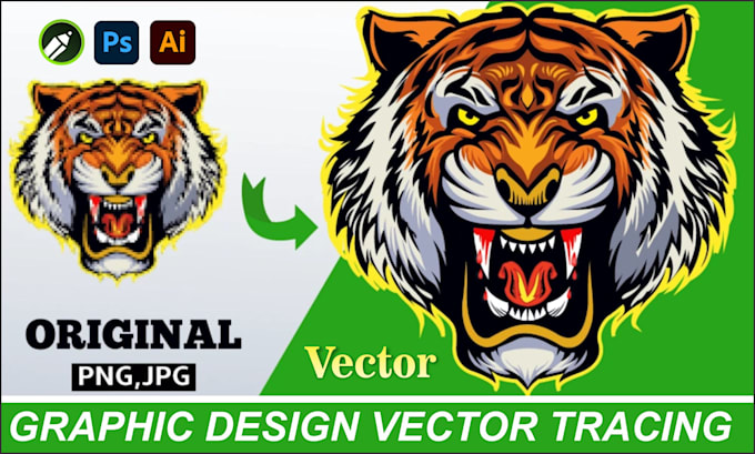 Gig Preview - Do perfect vector tracing or convert to vector quickly