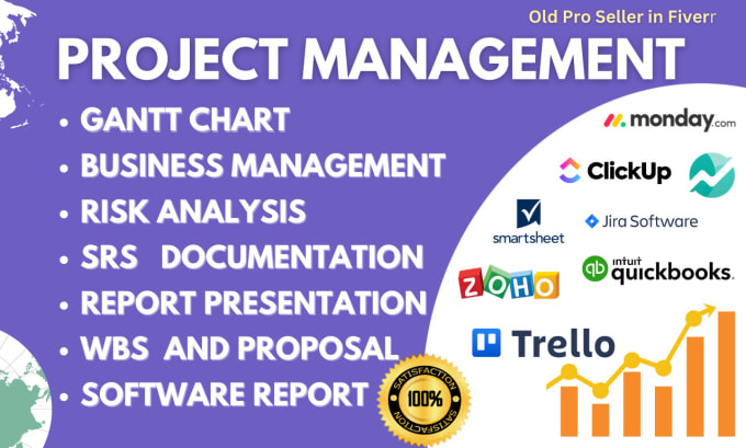 Gig Preview - Do software project management, business tasks, reports, gantt chart and graphs