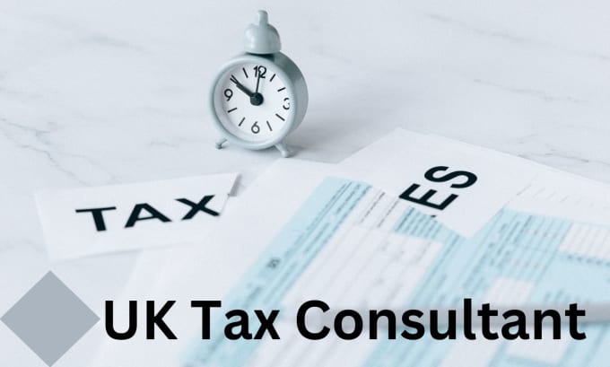 Gig Preview - Do every kind of tax return file for your UK company