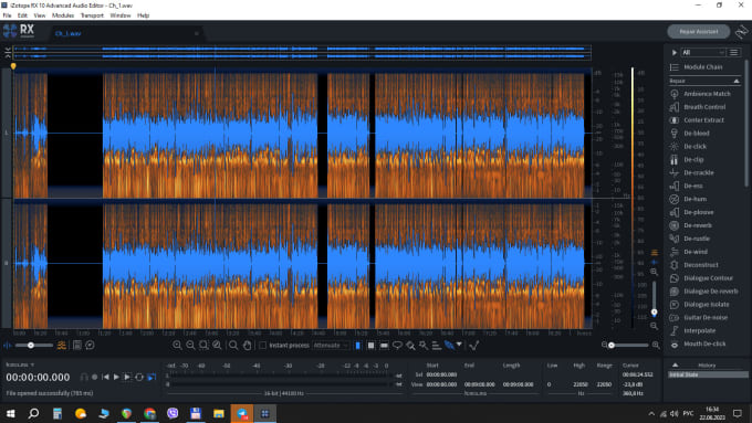 Gig Preview - Clean up, remove noise and enhance your any audio