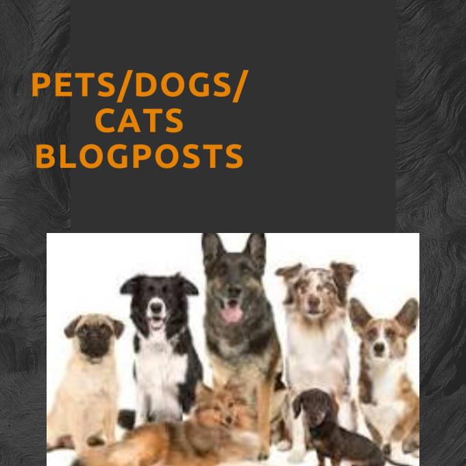 Gig Preview - Write and publish pet blogposts