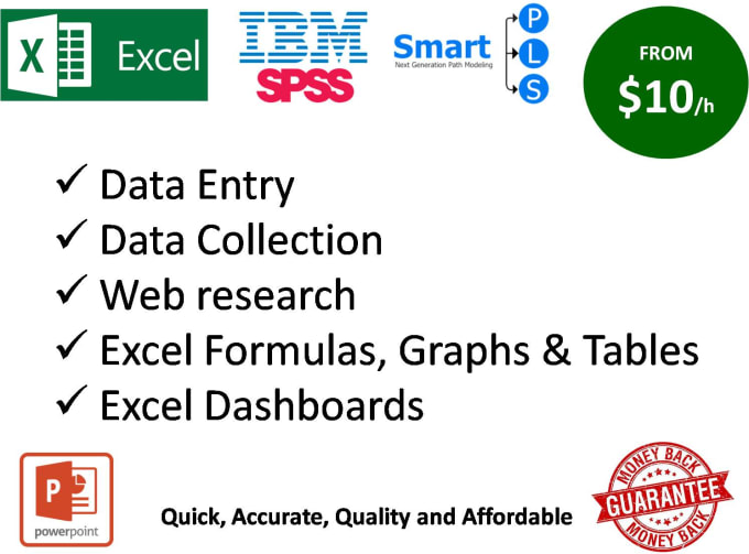 Gig Preview - Help you with ms excel data entry, formulas and dashboarding