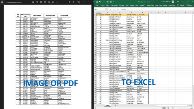 Gig Preview - Do excel data typing, data cleaning and data formatting