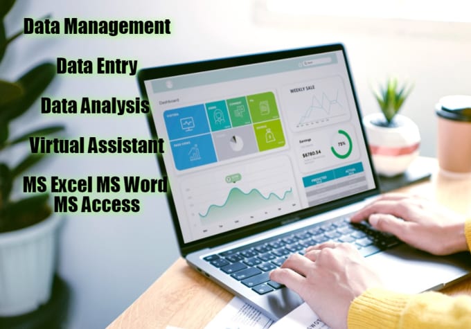 Bestseller - manage your data management, data analysis, data entry