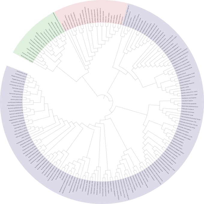 Gig Preview - Phylogenetic tree and help in the field biochemistry genetics bioinformatics