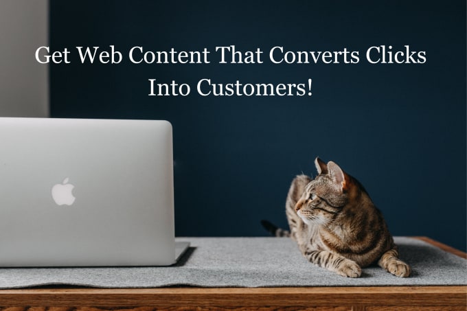 Gig Preview - Write engaging web content for your business