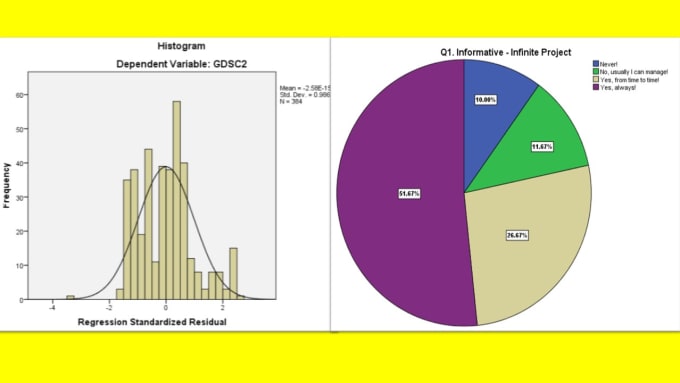 Gig Preview - Do data analysis in IBM spss and excel