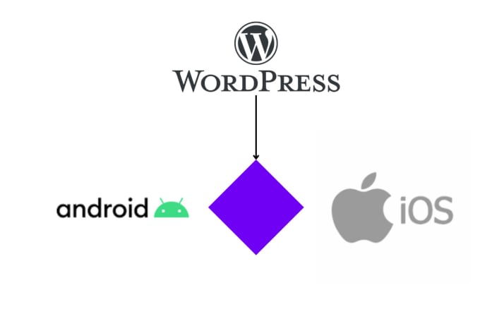 Gig Preview - Develop mobile application for your wordpress site