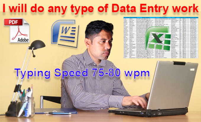 Gig Preview - Do any kind of data entry work of your business