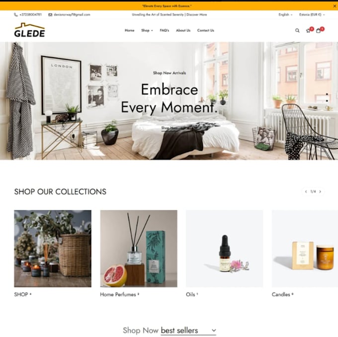 Gig Preview - Design shopify ecommerce website and build online store