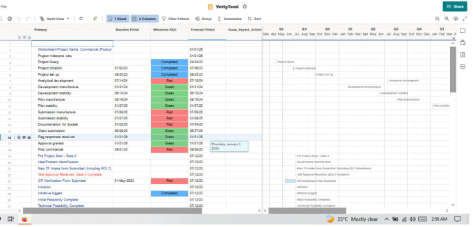 Gig Preview - Be your smartsheet expert