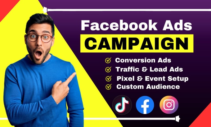 Gig Preview - Setup meta facebook ads campaign, conversion ads, traffic ads with meta pixel