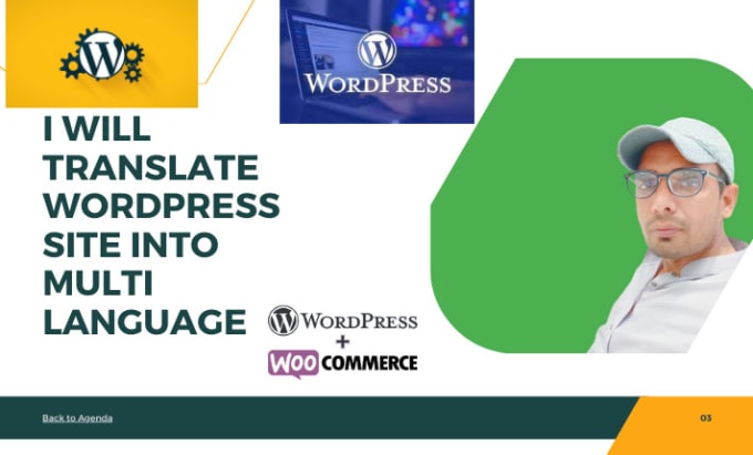 Gig Preview - Translate wordpress website into multilanguage in 24 hours