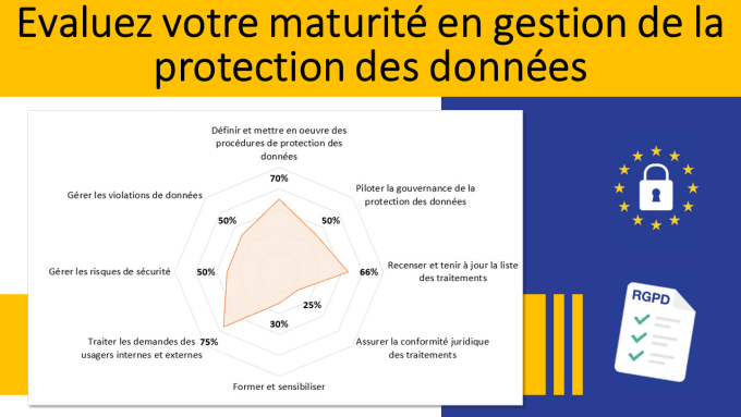 Gig Preview - Assess your gdpr management maturity