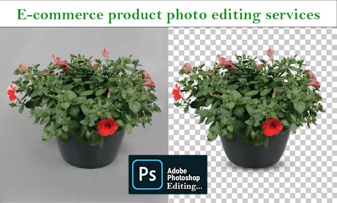 Gig Preview - Product image editing of background removal and retouching