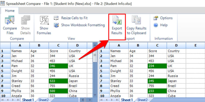 Gig Preview - Find differences between two excel sheets