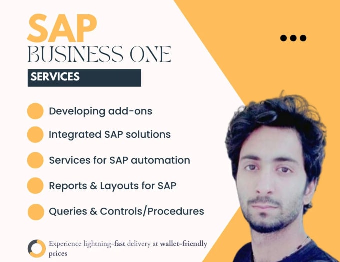 Gig Preview - Do every thing for sap business one