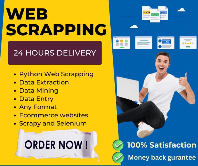 Gig Preview - Do data mining web scrapping and data extraction in 24 hours