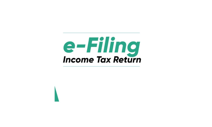 Gig Preview - Do income tax filing in india