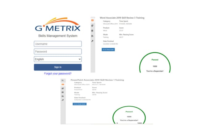 Gig Preview - Do gmetrix ms office mos and digital literacy tasks