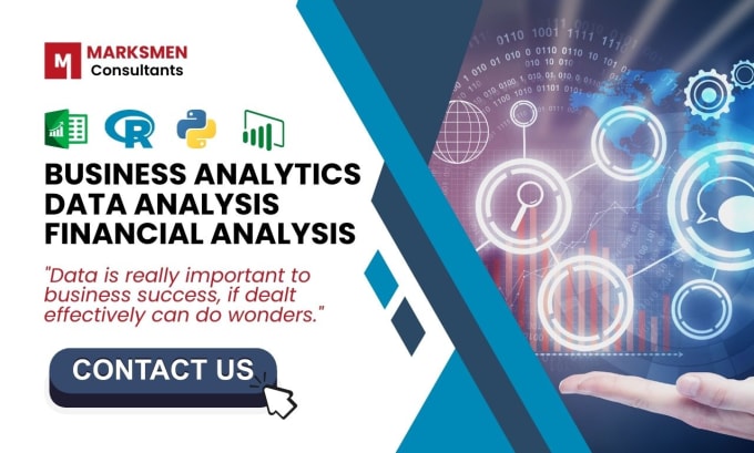 Gig Preview - Do business analytics, financial analysis and statistical analysis