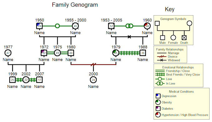 Gig Preview - Create a well detailed genogram in 12 hours