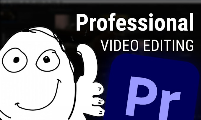 Bestseller - do professional video editing for you