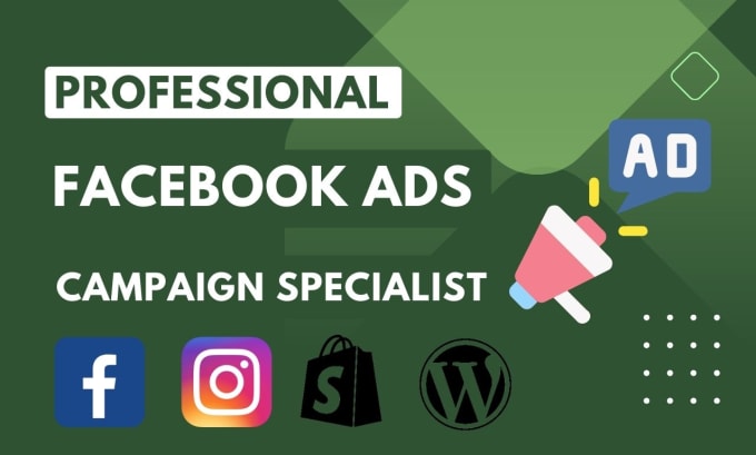 Gig Preview - Set up facebook ads campaign, marketing, advertising, and management