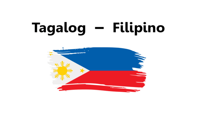 Gig Preview - Proofread and edit your tagalog filipino translation