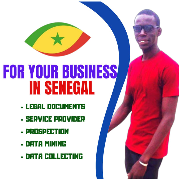 Gig Preview - Be your market research analyst in senegal