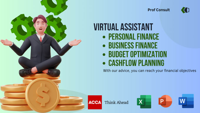 Gig Preview - Be a virtual assistant for personal finance and business finance