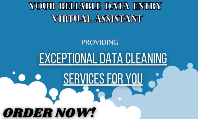 Bestseller - do data entry, data formatting and cleaning