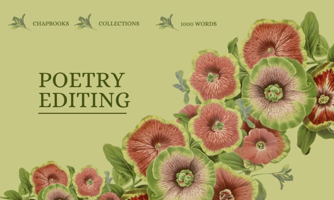 Gig Preview - Edit your poem and poetry collections