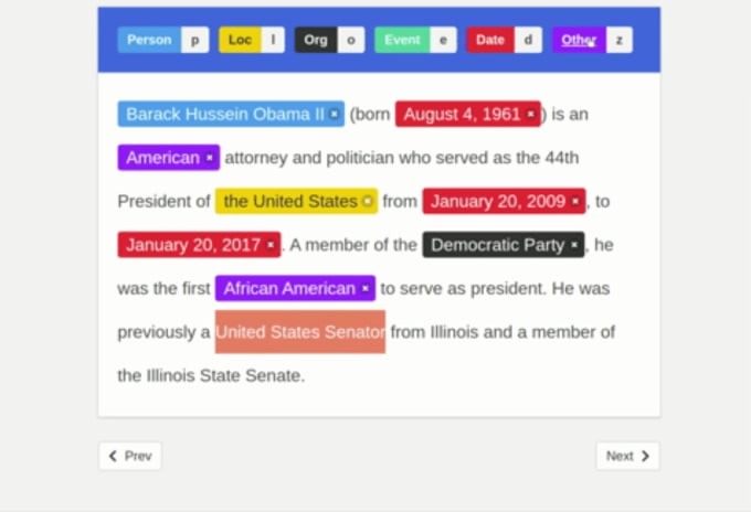 Gig Preview - Create a custom ner model using spacy