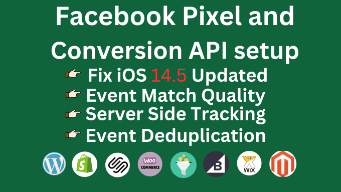 Gig Preview - Setup conversion API and facebook pixel through GTM