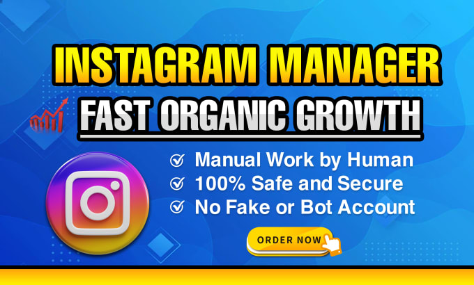 Gig Preview - Be your instagram manager for organic growth