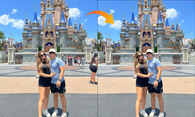 Gig Preview - Remove any person or object professionally from a picture with photoshop