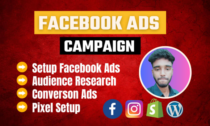 Gig Preview - Run profitable facebook instagram ads campaign for ecommerce business