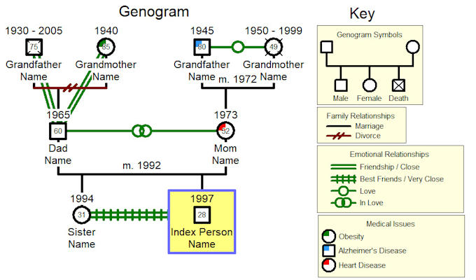 Gig Preview - Create a genogram in 12 hours