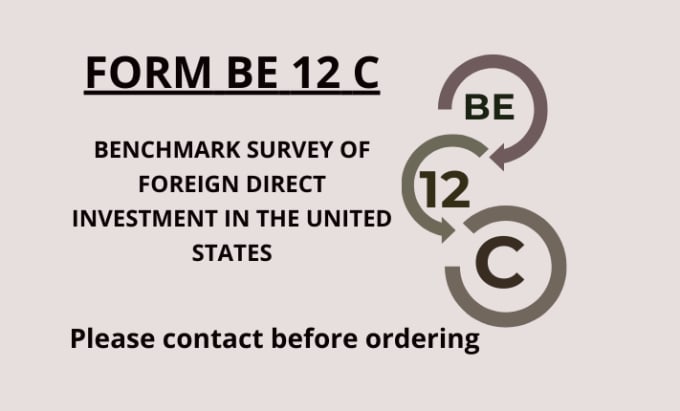 Gig Preview - Prepare and e file your be survey for your USA entity