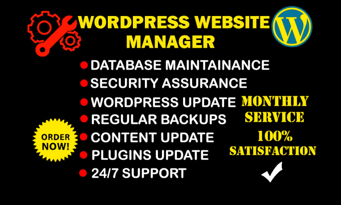 Gig Preview - Do wordpress website maintenance, help, and support