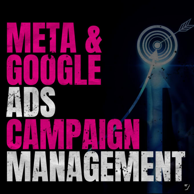 Gig Preview - Manage advertising campaigns on google ads and meta