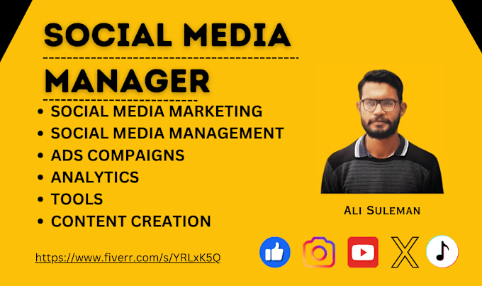 Gig Preview - Be your permanent social media manager