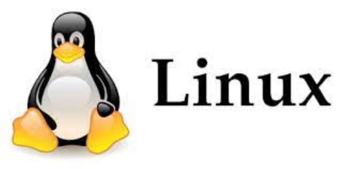 Gig Preview - Make linux server project or troubleshoot issues